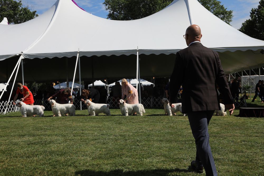 Question of the Week